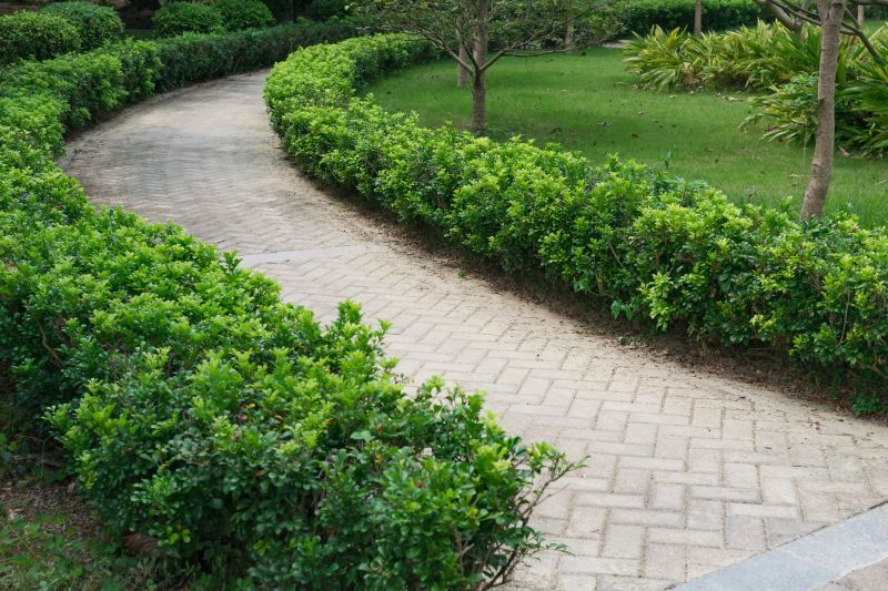 Patterned Paver Walkway