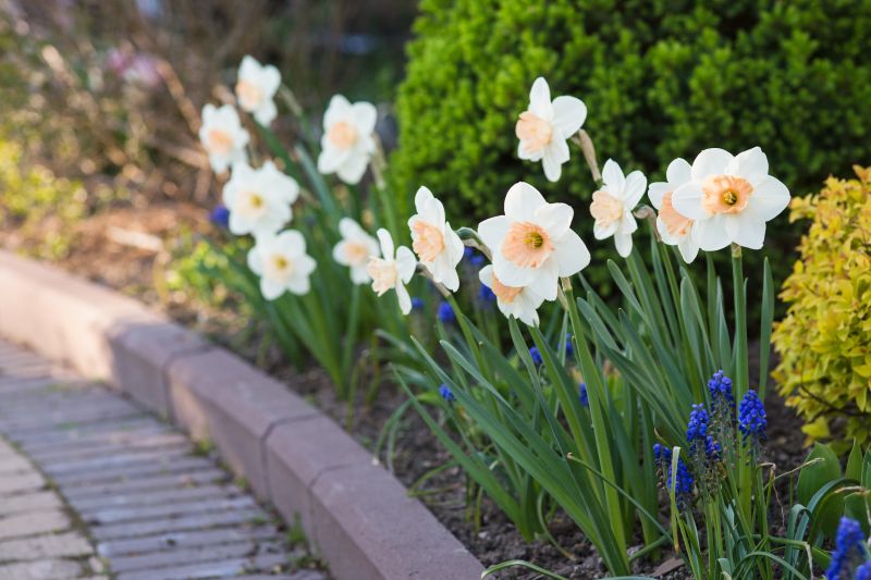 Who Does Pavers Service