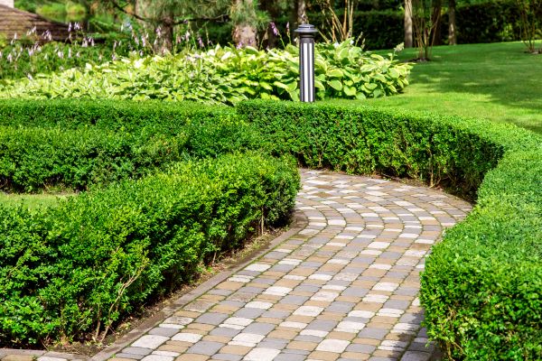 Cost of Paved Landscaping in Brandon