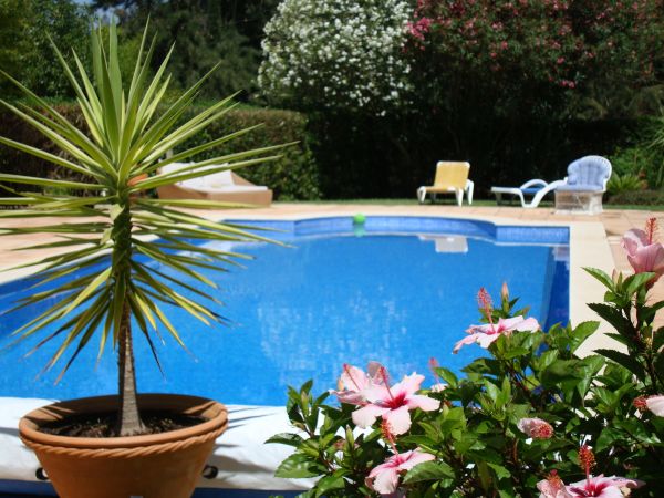Cost of Pool Terrace Renovation in Brandon